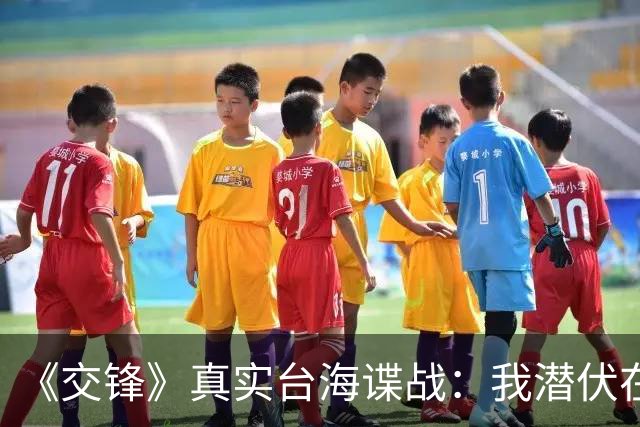 《交锋》真实台海谍战：我潜伏在台特工妙计揪出两名大陆军界间谍